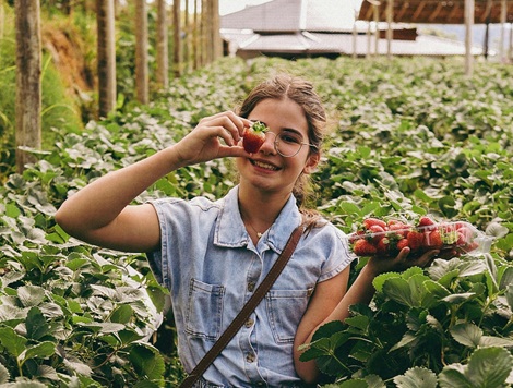 Woman in greenhouse displaying a freshly picked strawberry